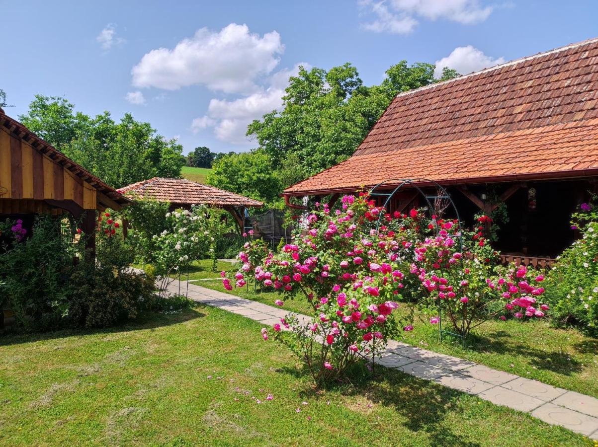 Отель Pod Orehom Drvena Kuca I Sauna Крапина Экстерьер фото