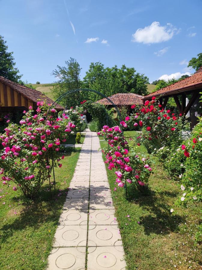 Pod Orehom Drvena Kuca I Sauna Крапина Экстерьер фото